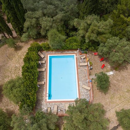 Villa I Tigli Кампілья-Мариттіма Екстер'єр фото